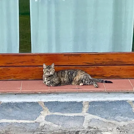 Marena: Vista Lago, Giardino, Parcheggio *