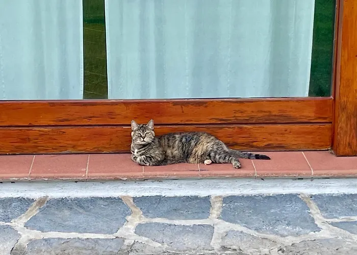Marena: Vista Lago, Giardino, Parcheggio *