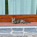 Marena: Vista Lago, Giardino, Parcheggio *